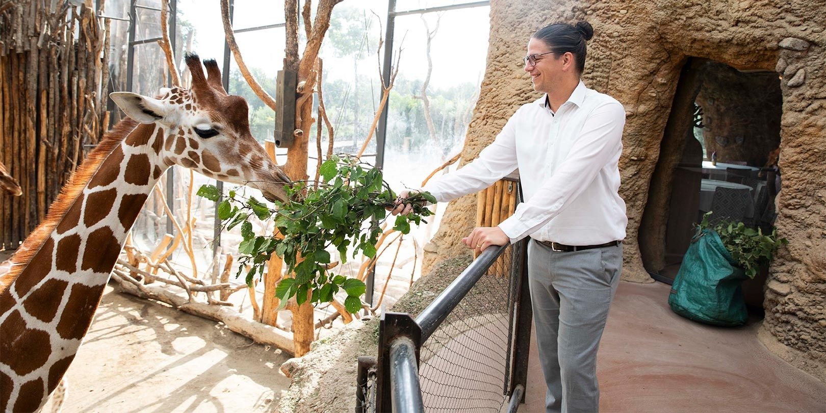 Un homme avec des lunettes nourrit une girafe